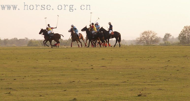 在泰國馬球俱樂部打馬球_THAI POLO CLUB