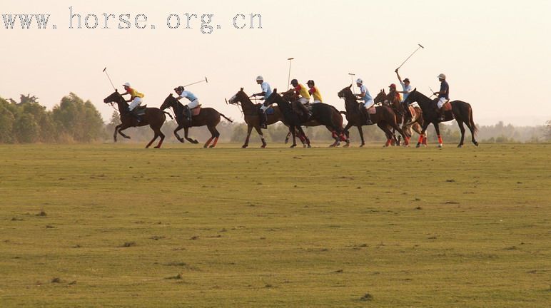 在泰國馬球俱樂部打馬球_THAI POLO CLUB