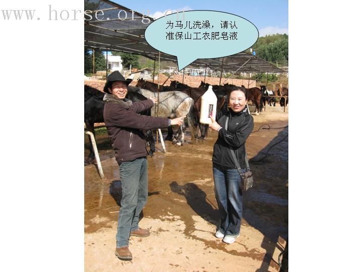12-1 马场拾趣： 狗狗 马马 好吃不贵的农家乐