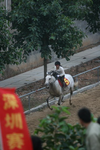 [贴图]071223深圳育马山庄：绕桶及速度赛（2）