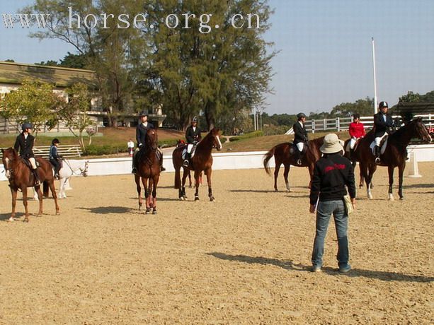 一個在雙魚河的傳統的馬友聚會 ~ BOXING DAY MEET