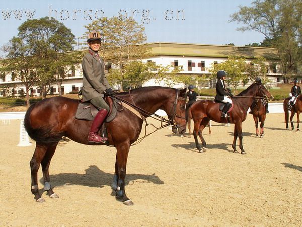 一個在雙魚河的傳統的馬友聚會 ~ BOXING DAY MEET