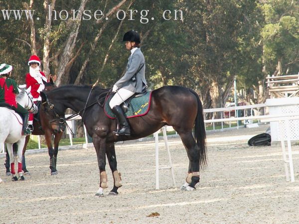 一個在雙魚河的傳統的馬友聚會 ~ BOXING DAY MEET
