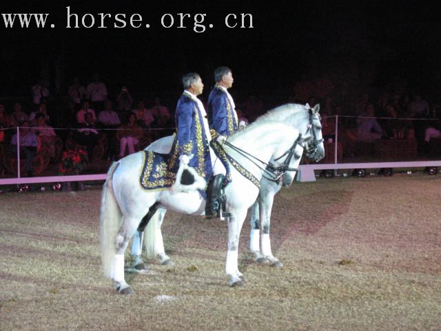 再谈泰国＂Passionata Horse Show＂