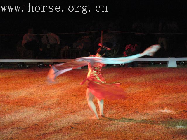 再谈泰国＂Passionata Horse Show＂