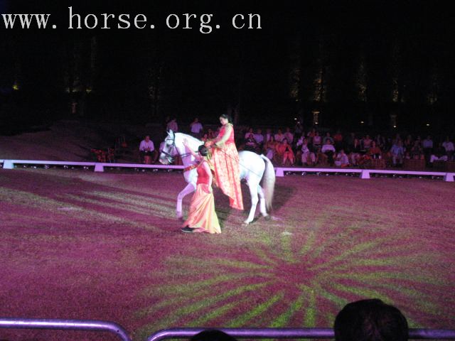 再谈泰国＂Passionata Horse Show＂
