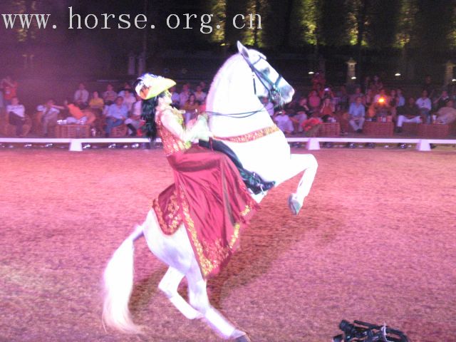 再谈泰国＂Passionata Horse Show＂