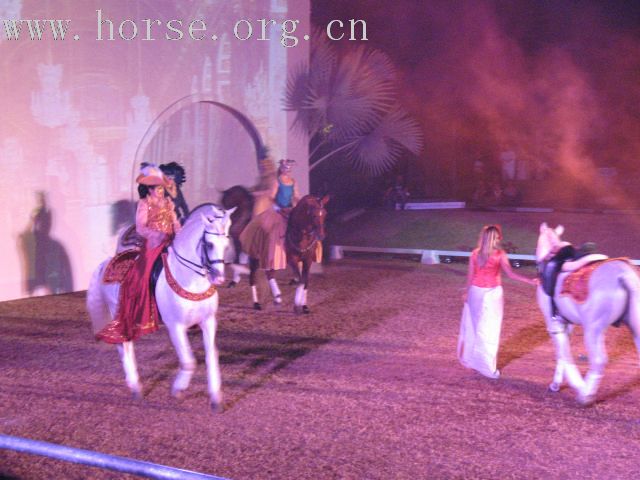 再谈泰国＂Passionata Horse Show＂