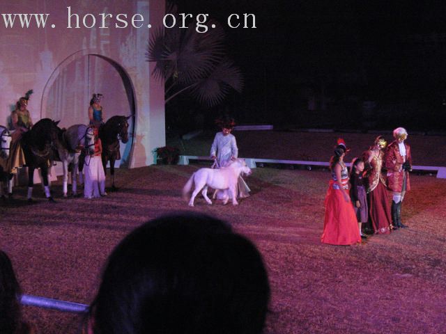 再谈泰国＂Passionata Horse Show＂