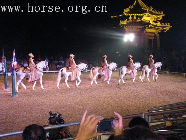 再谈泰国＂Passionata Horse Show＂
