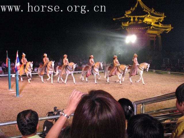 再谈泰国＂Passionata Horse Show＂