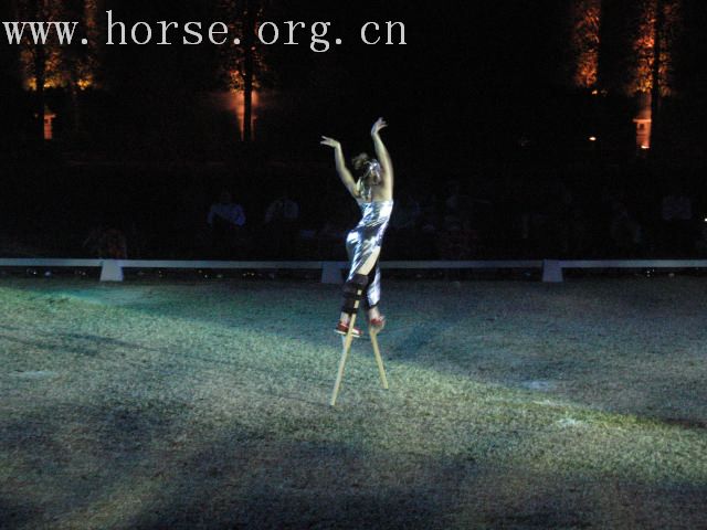 再谈泰国＂Passionata Horse Show＂