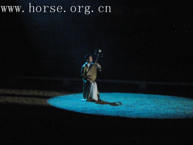 再谈泰国＂Passionata Horse Show＂