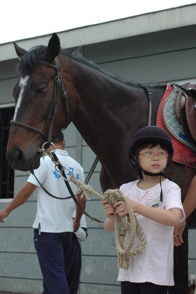 儿童骑马活动