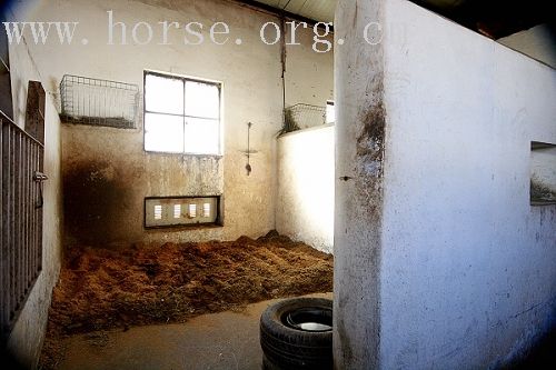 抽风牛仔之天生我材必有用