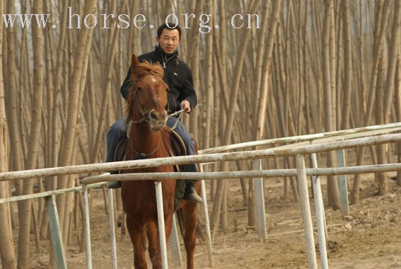 发一张小张的照片