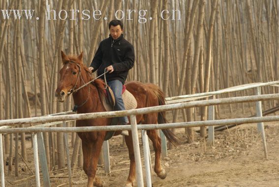 发一张小张的照片