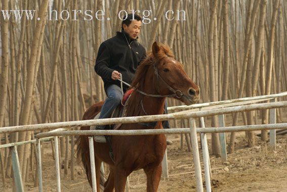 发一张小张的照片