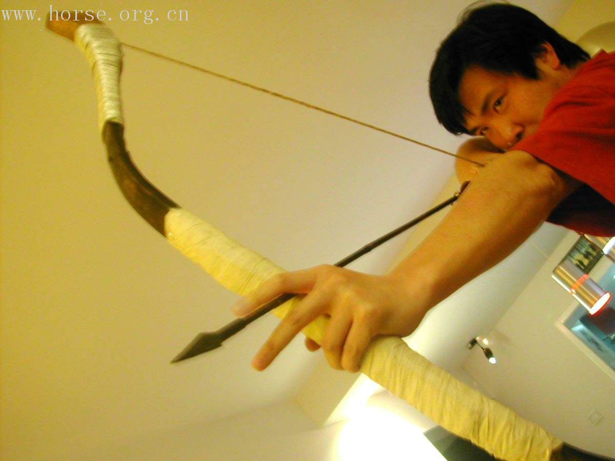 百鸟宴……只识弯弓射大雕