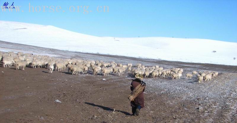 纵马五彩山 闹雪烟子窑～～迎接二零零七的春天