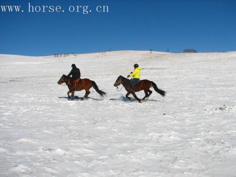 纵马五彩山 闹雪烟子窑～～迎接二零零七的春天