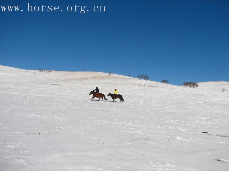 纵马五彩山 闹雪烟子窑～～迎接二零零七的春天