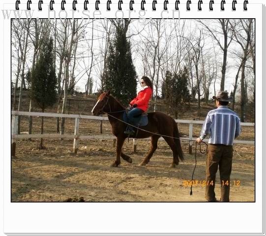 通骁马会2.4日学习骑马