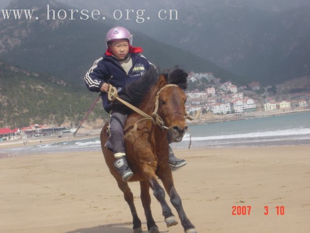 开学了.以后骑的少了.来几张今天的......