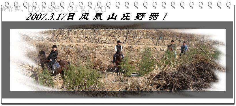春节过后一起骑马去!