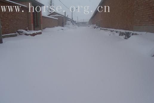 07年的第一场雪！~