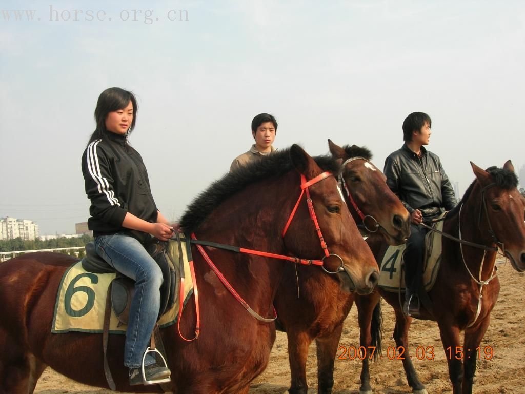 在武汉骑马