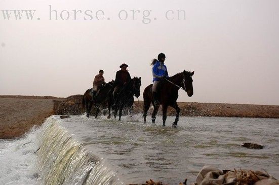 第三届中国马友骑马环官厅水库150公里绿色穿越