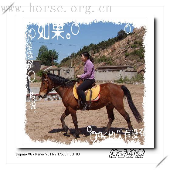 在青岛凤凰山庄骑马的照片~新人初次发帖，请大家多关照