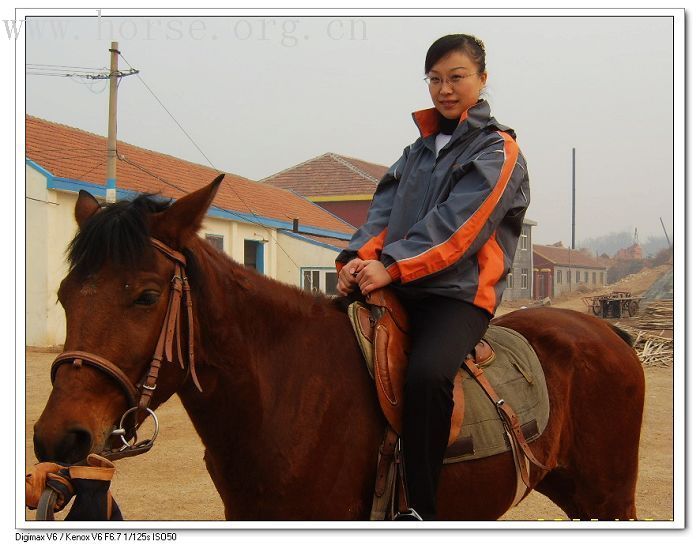 在青岛凤凰山庄骑马的照片~新人初次发帖，请大家多关照