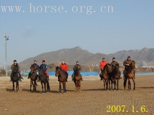 邀请马盟的马友们青岛野骑踏青------本活动由青岛风凰山庄赞助支持!