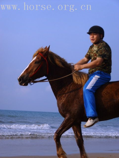 [贴图]春节海南行照片集-照片更新了