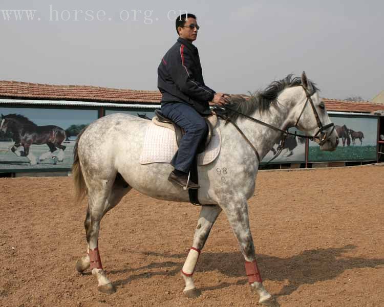 20070407青岛野骑踏青归来---照片连续更新中