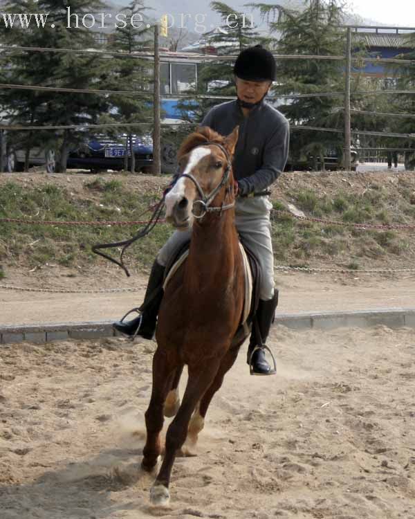 20070407青岛野骑踏青归来---照片连续更新中