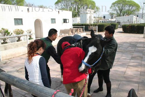 今日（4月13日）CHS教练培训图解（编辑中……）