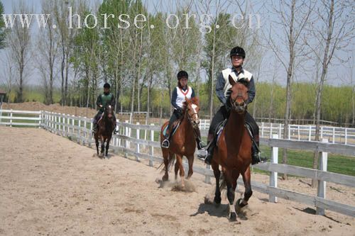 今日（4月13日）CHS教练培训图解（编辑中……）