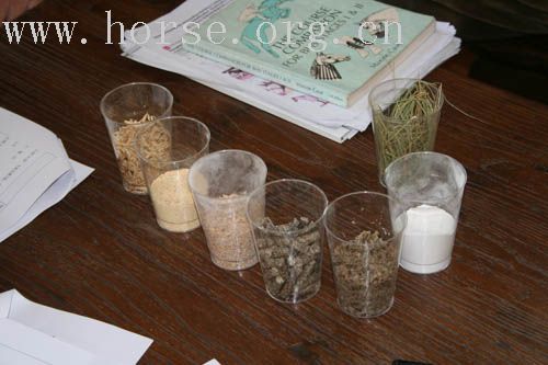 今日（4月13日）CHS教练培训图解（编辑中……）