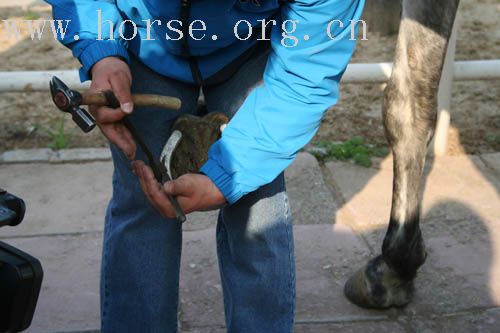 今日（4月13日）CHS教练培训图解（编辑中……）