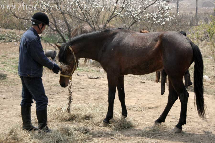 20070407青岛野骑踏青归来---照片连续更新中