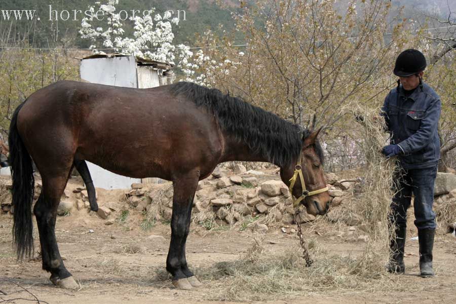 20070407青岛野骑踏青归来---照片连续更新中