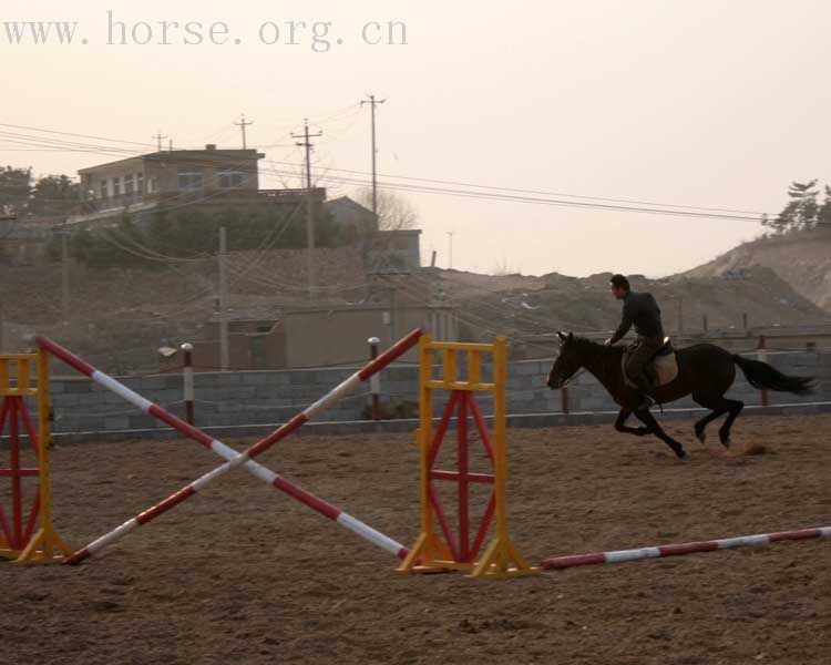 20070407青岛野骑踏青归来－最新照片更新