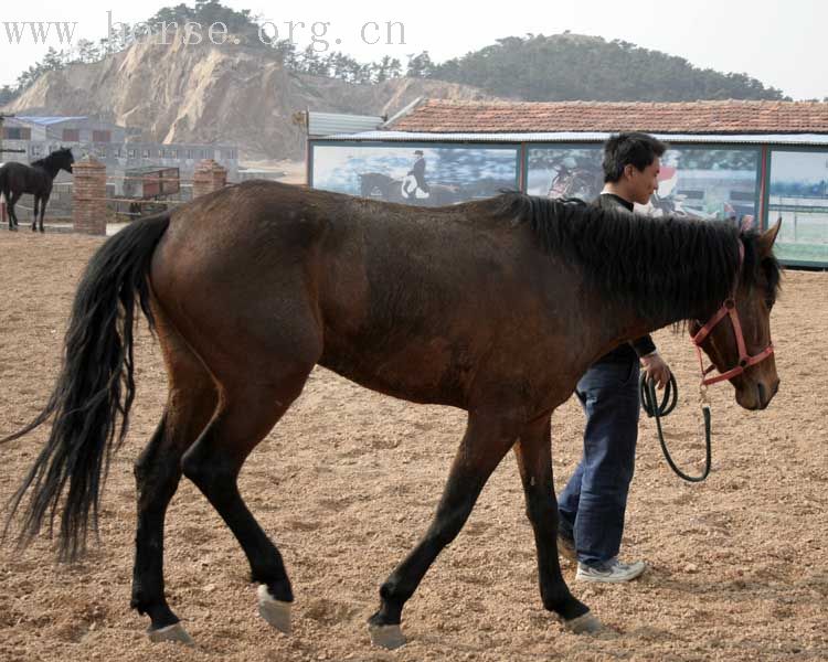 20070407青岛野骑踏青归来－最新照片更新