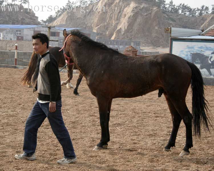 20070407青岛野骑踏青归来－最新照片更新