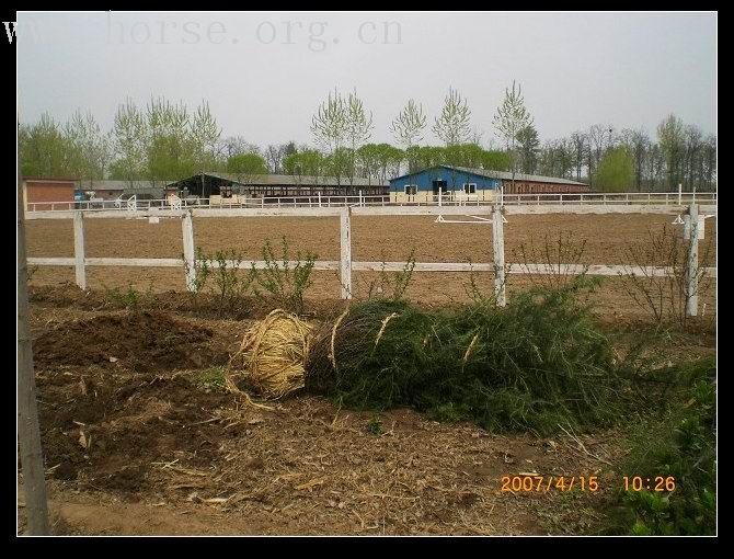把马场建成庄园—建设中的马场