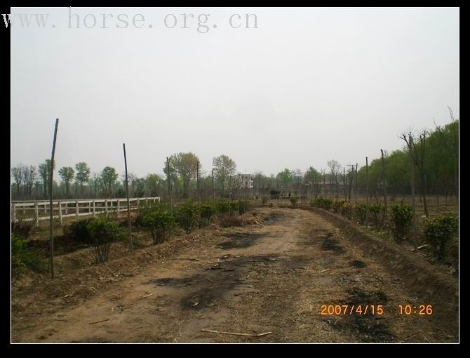 把马场建成庄园—建设中的马场