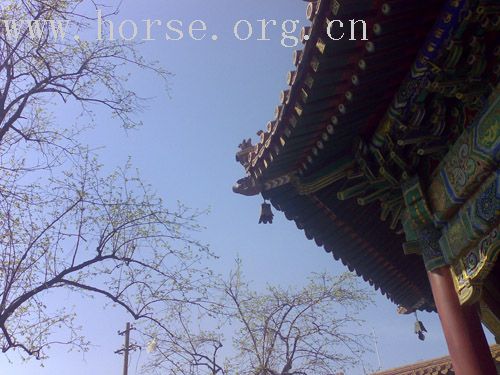 雍和宫的边边角角